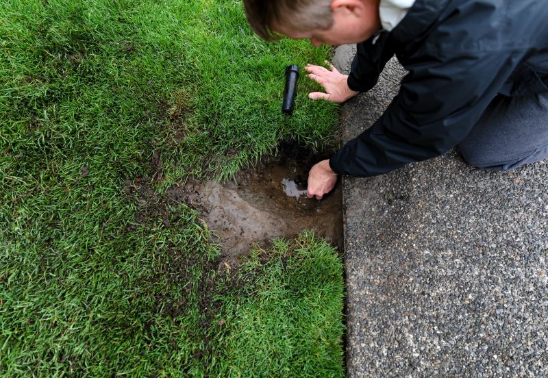 Spring Drainage Inspection